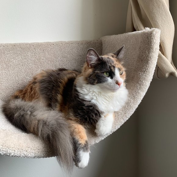 New Wall mounted cat bed - Picture 13 of 16